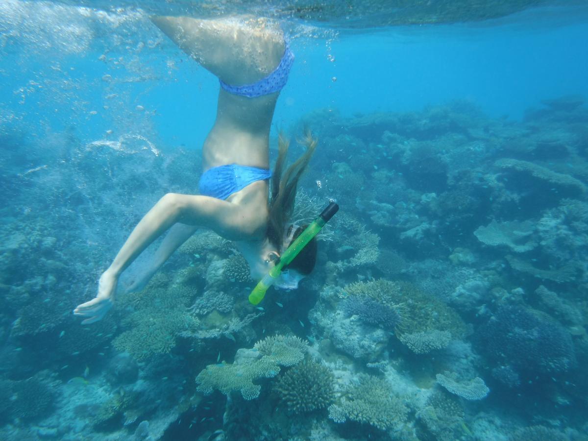 Surf Trip Maldives Hotel Thulusdhoo Esterno foto